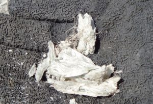 日本環境測定分析協会、アスベスト教育研修の日程を発表